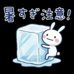 毎日使える夏☆ほぼ白うさぎ