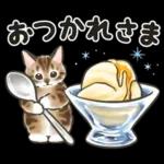 夏の毎日☆猫たちのスタンプ２
