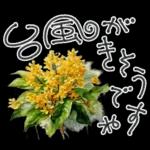 大人の挨拶♡秋の毎日♡品よくおしゃれに