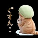 ずっと使える メロン帽が可愛い 猫とウサギ