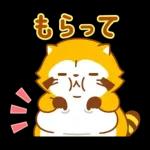 まんまるラスカル☆ヘルシーになろう