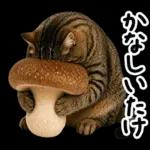 キジトラ猫飼いさんのダジャレ