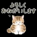 冬の毎日と年末年始☆猫たちのスタンプ