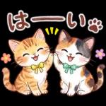 ずっと使える♪猫たちの日常