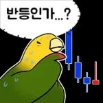 투자 전문가, 껄무새