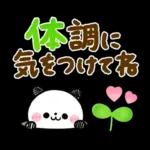 大人のカラフル♡ころころパンダ