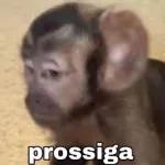 Parcela Essa Mentira em Cinco Vezes