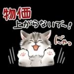 春の毎日☆猫たちのスタンプ（もふもふ）