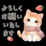 ずっと使える気持ちことば集?