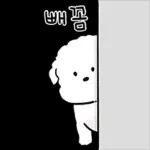 또리는 소심하지만 참지않지