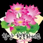 오늘은 꽃 주는 날