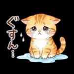 ずっと使える♪猫たちの日常