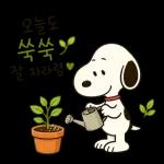 오늘도 수고한 스누피
