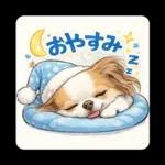 ブラン&プティ第2弾♡