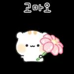 아기람꾸 : 벚꽃 에디션