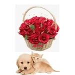 밤에 듣기 좋은 이야기