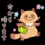 imananishiteru tanuki