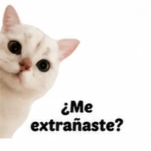 ¿Me extrañaste? - getsticker.com