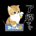 あけおめにゃん午