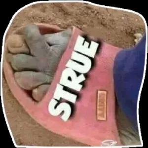 STRUE - getsticker.com