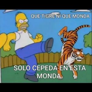QUE TIGRE NI QUE MONDA SOLO CEPEDA EN ESTA MONDA - getsticker.com