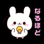 連絡白うさちゃん