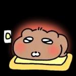 얼렁뚱땅 감자곰의 겨울나기