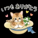 ふんわり可愛い☆猫たちのスタンプ