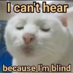 WISHING YOU A GREAT DAY!