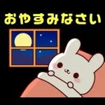 連絡白うさちゃん