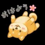 柴犬いっぱい♡豆しば♡秋＆冬