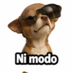 Ni modo