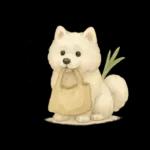 もふもふ【愛されサモエド】