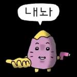 삶은... 고굼마