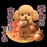 【秋冬】ずっと使える❤️日常会話 トイプー