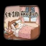 三毛猫の冬のあいさつ