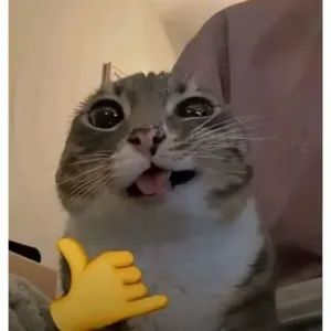 ctiobga