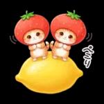 毎日使える 茶トラねこ 春 日常 いちご帽子