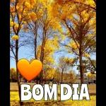 boa noite 