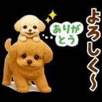 毎日使える【挨拶★返事】トイプードル