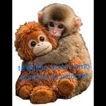 te quiero tanto como punch a su peluche