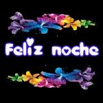 Feliz noche