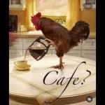 Cafe.?