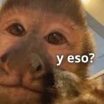 monito