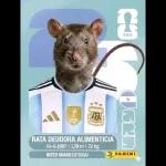 vamos ARGENTINA !!!