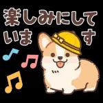 Pop-Up! Corgi's Spring Reply Sticker