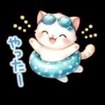 猫のつめあわせ【夏】