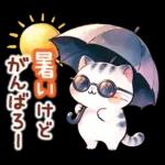 猫のつめあわせ【夏】