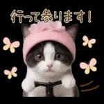 可愛いハチワレ猫 春の思いやり 敬語