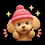 【秋冬】ずっと使える❤️日常会話 トイプー